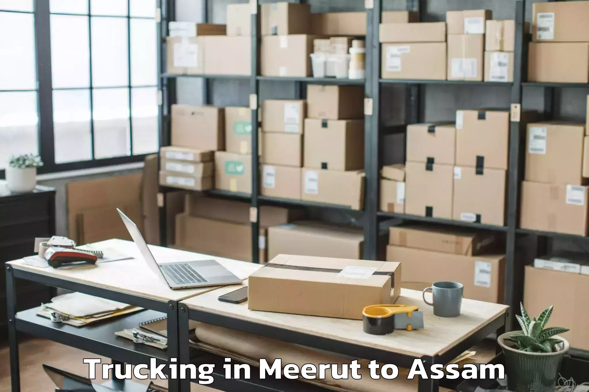 Leading Meerut to Behali Trucking Provider